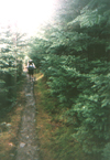 The Appalachian Trail; it's not all straight like this